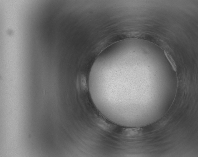 X0000072500089200607290117