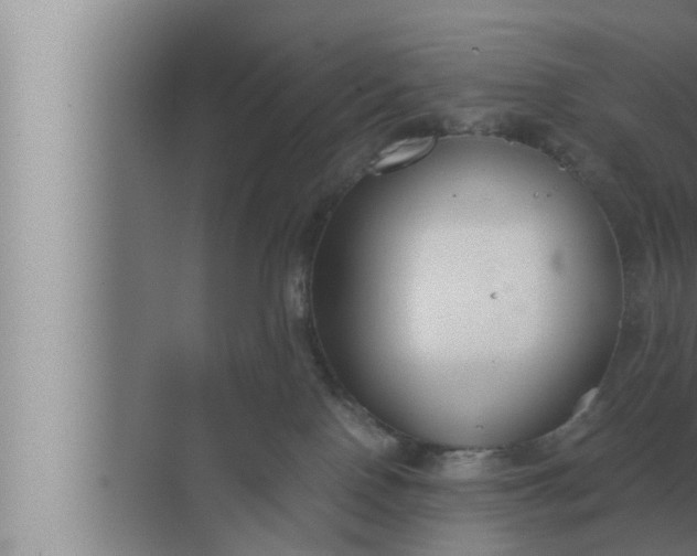 X0000072500090200607290117