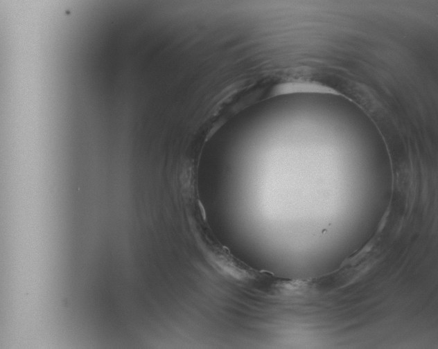 X0000072500092200607290117