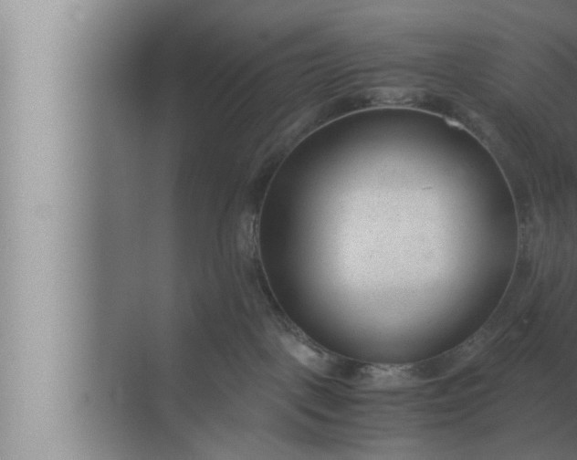 X0000072500093200607290117