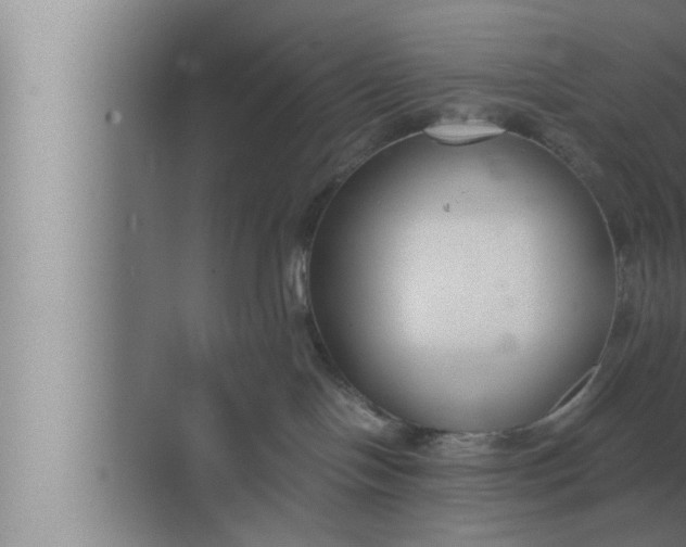 X0000072500094200607290117