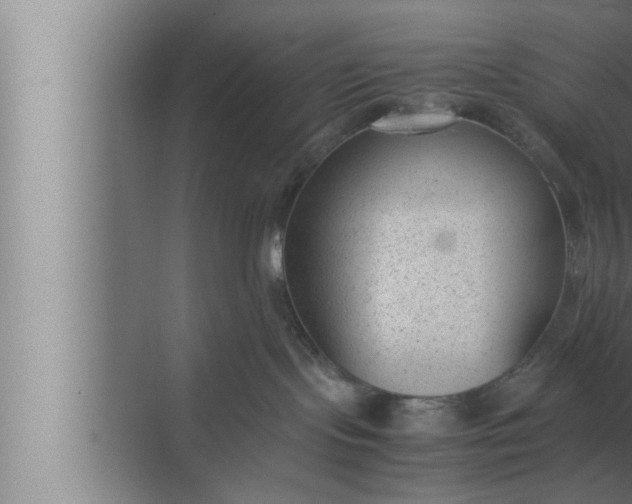 X0000072500095200607290117