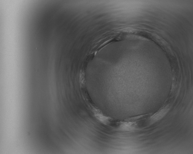 X0000072500096200607290117