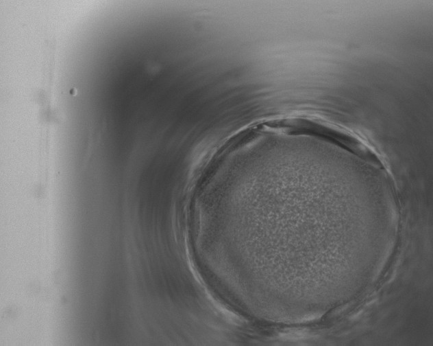 X0000072500097200607290116