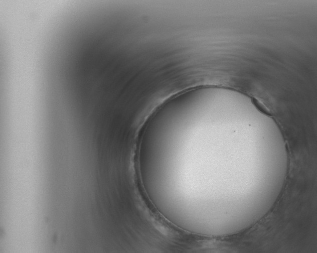 X0000072500098200607290116