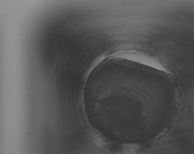 X0000072500099200607290116