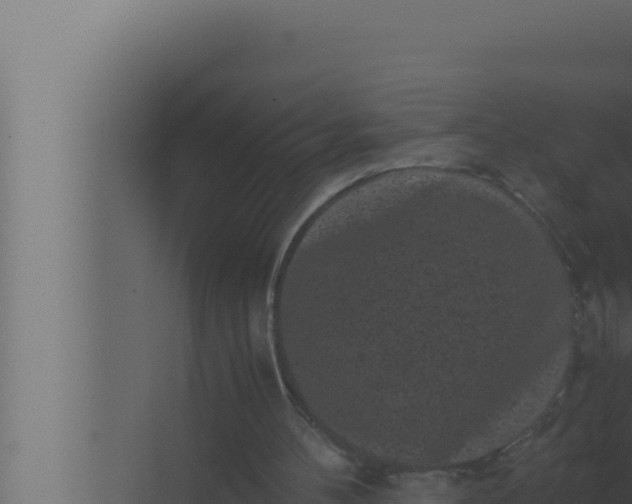 X0000072500100200607290116