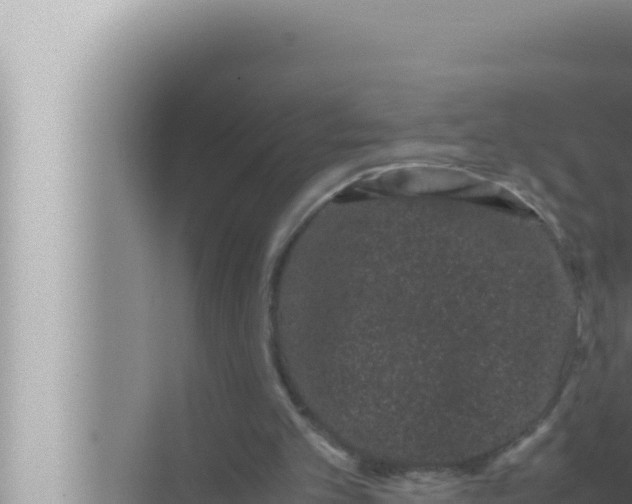 X0000072500101200607290116