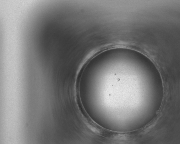 X0000072500102200607290116