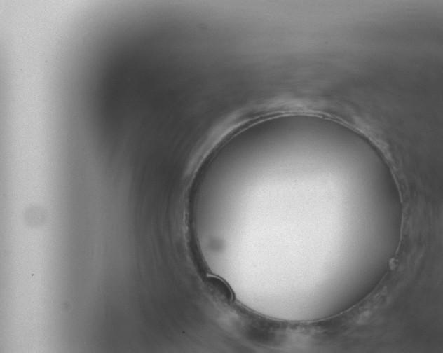 X0000072500103200607290116