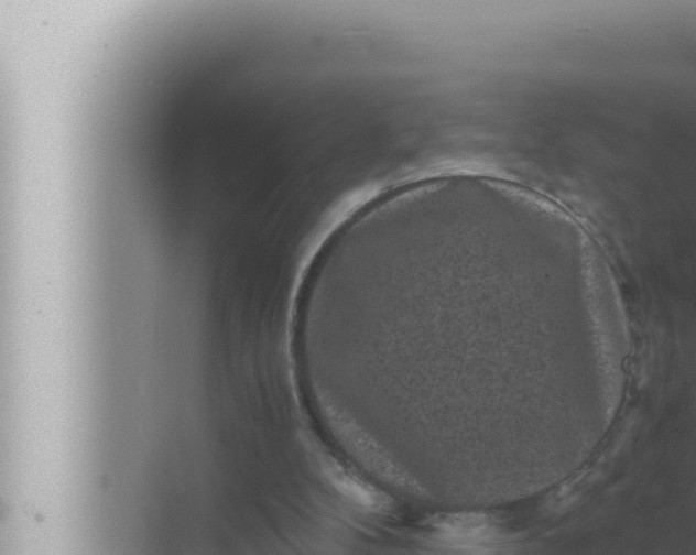 X0000072500104200607290116