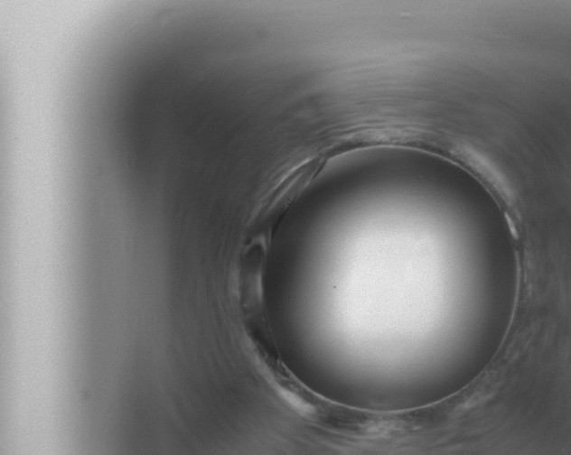 X0000072500105200607290116