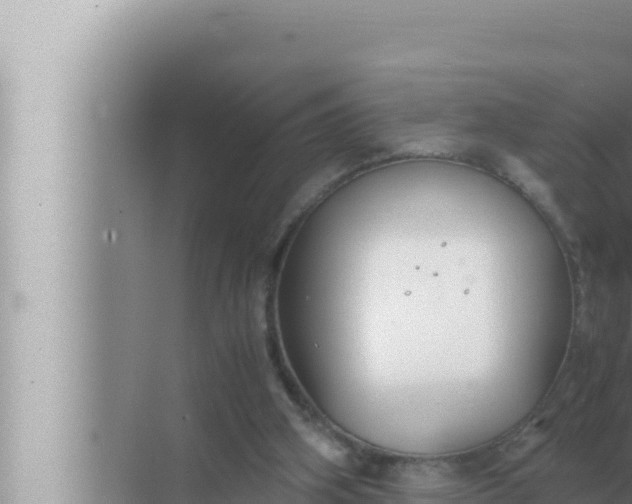 X0000072500106200607290116