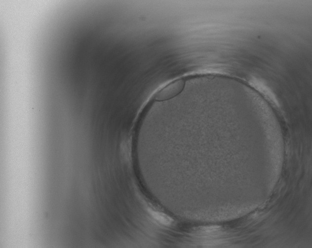 X0000072500108200607290116