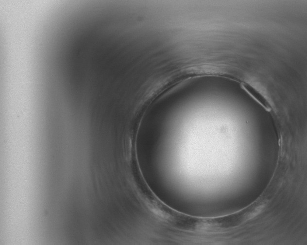 X0000072500109200607290116