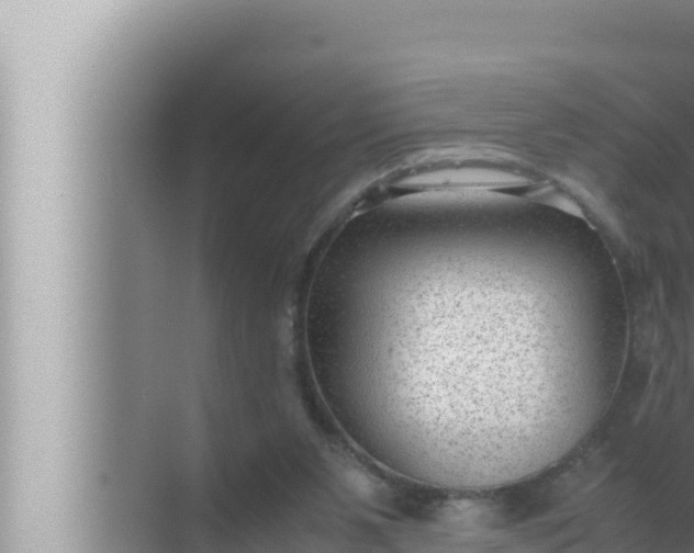 X0000072500111200607290116