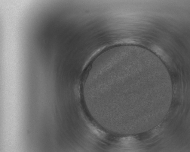 X0000072500112200607290116