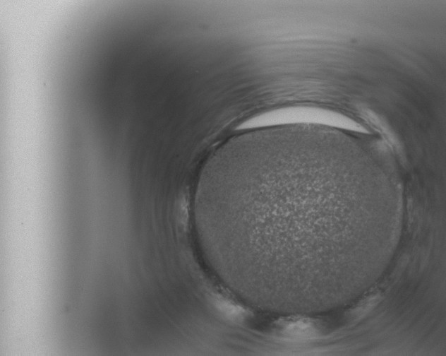 X0000072500113200607290116