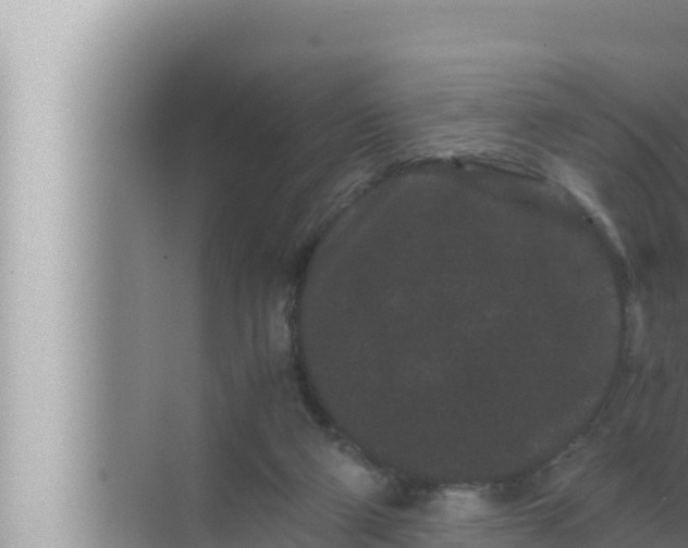 X0000072500114200607290116