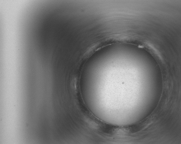 X0000072500115200607290116