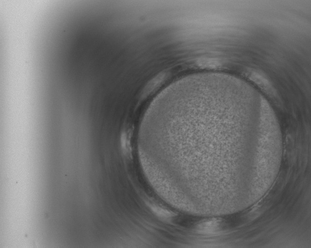 X0000072500116200607290116