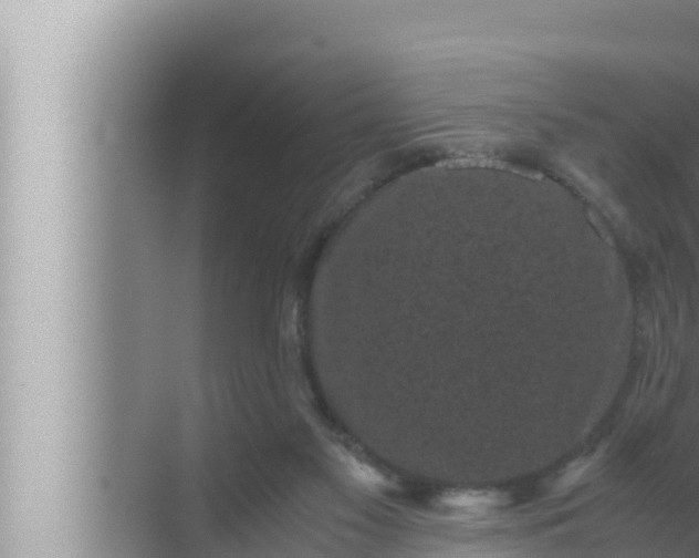 X0000072500117200607290116