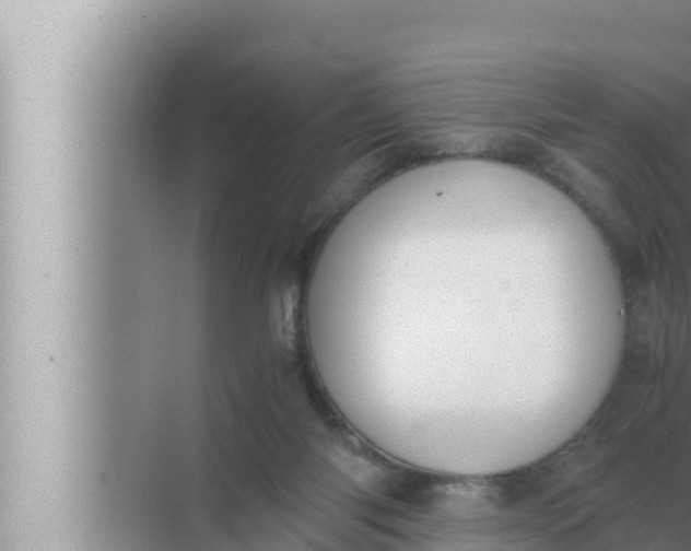 X0000072500118200607290116