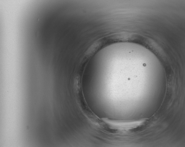 X0000072500119200607290116