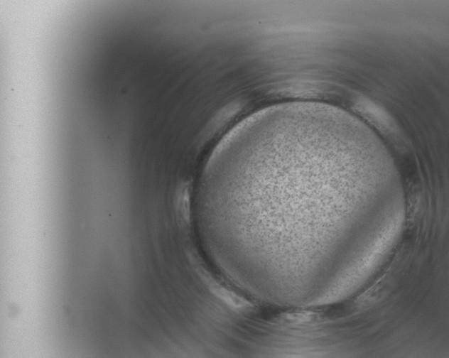 X0000072500120200607290116