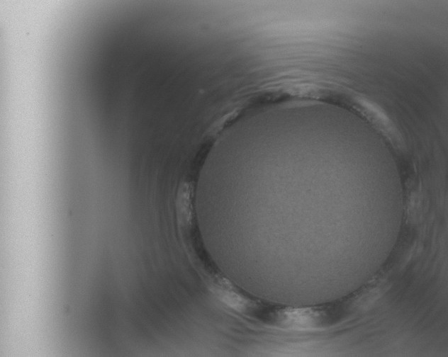 X0000072500121200607290116