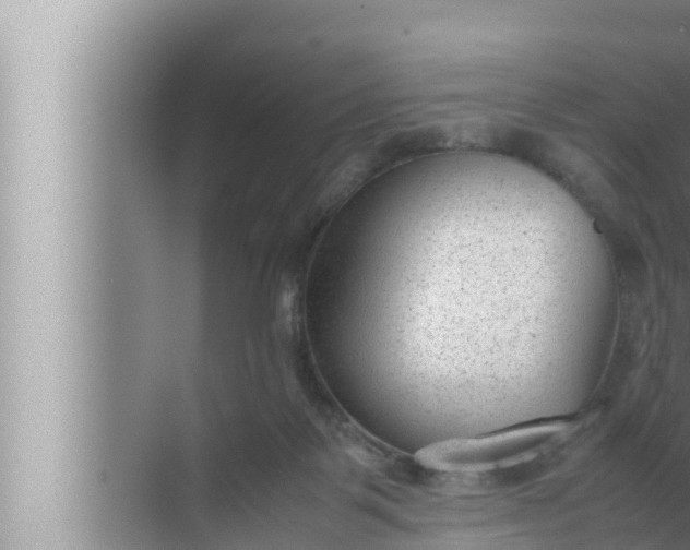 X0000072500123200607290116