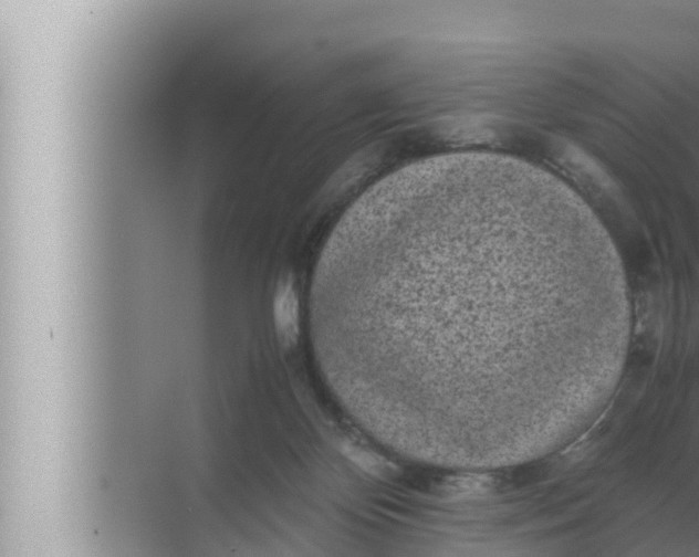 X0000072500124200607290116