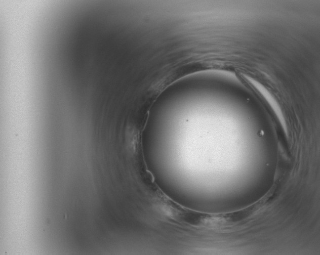 X0000072500125200607290116