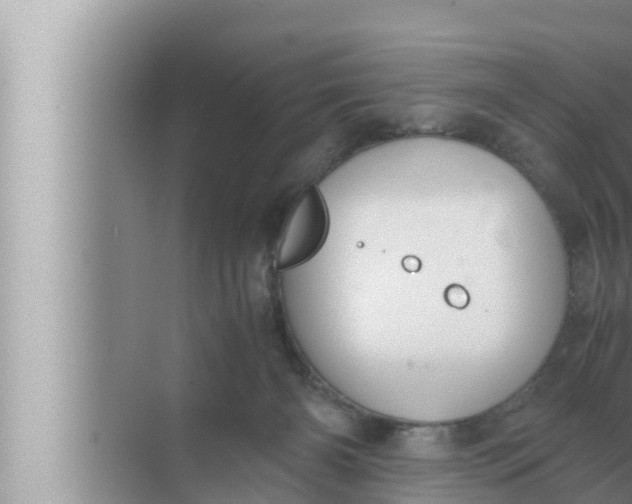 X0000072500126200607290116