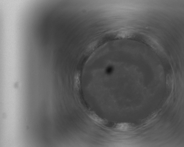 X0000072500127200607290115