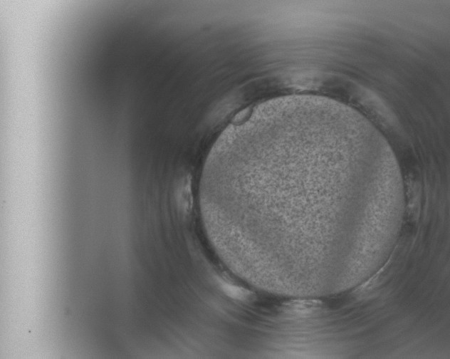 X0000072500128200607290115