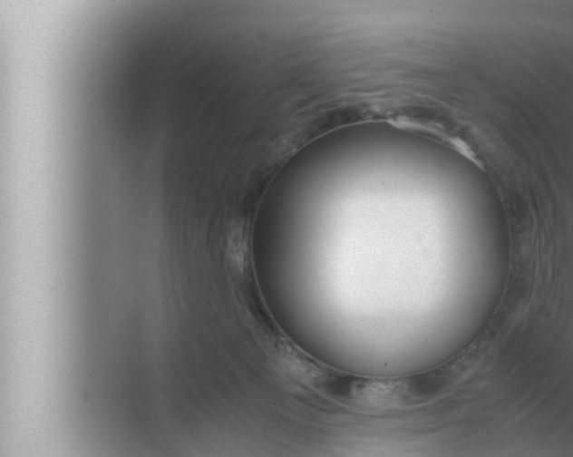 X0000072500129200607290115