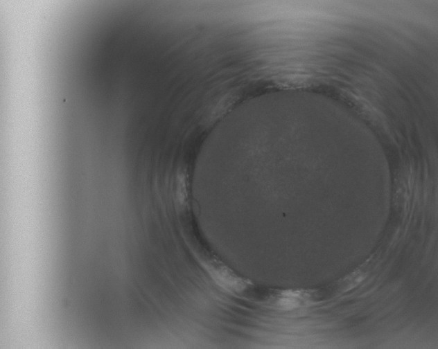 X0000072500130200607290115