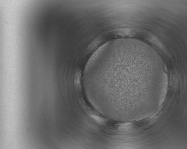 X0000072500132200607290115