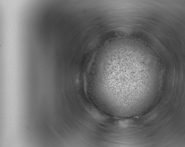 X0000072500134200607290115