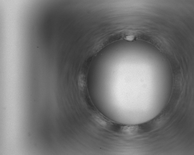 X0000072500135200607290115