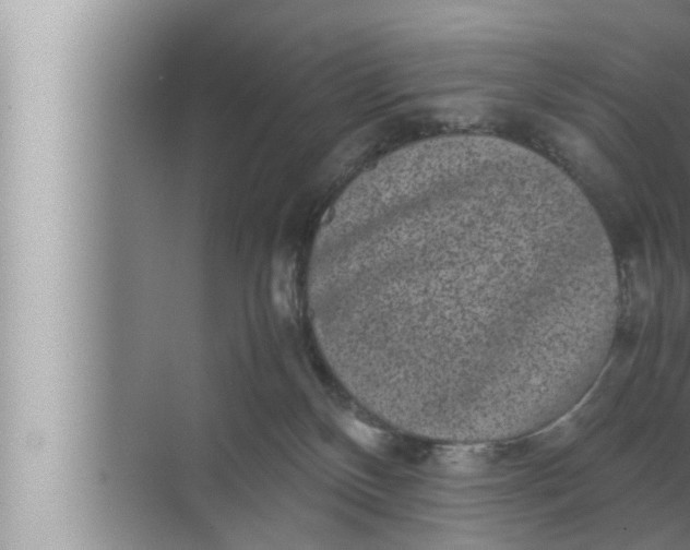 X0000072500136200607290115