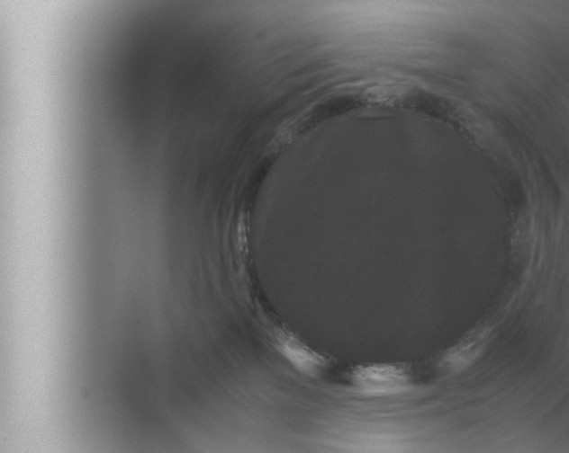 X0000072500137200607290115