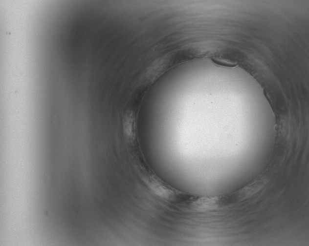 X0000072500138200607290115