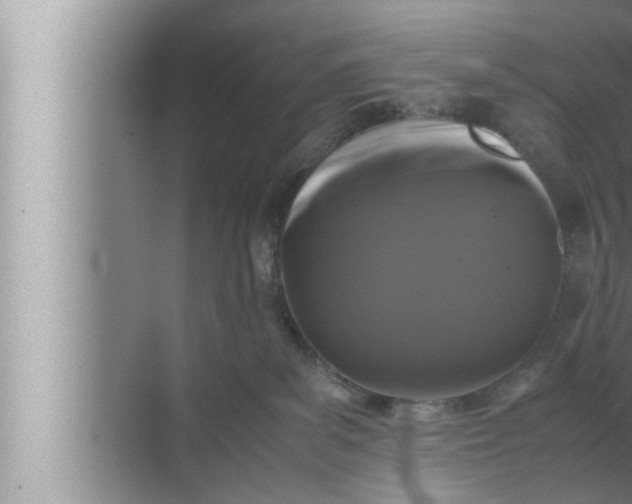 X0000072500139200607290115