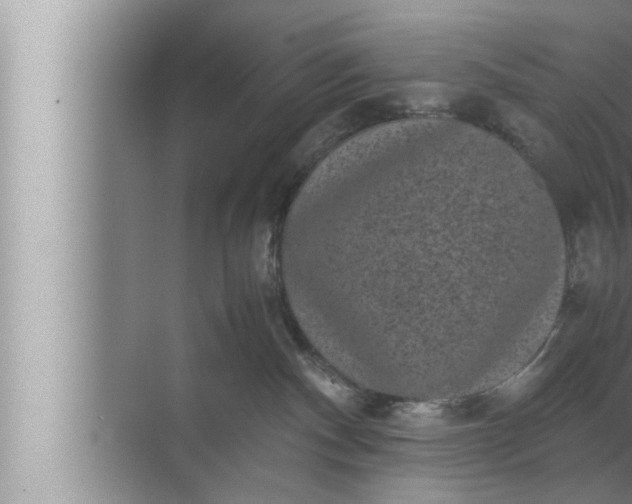 X0000072500140200607290115