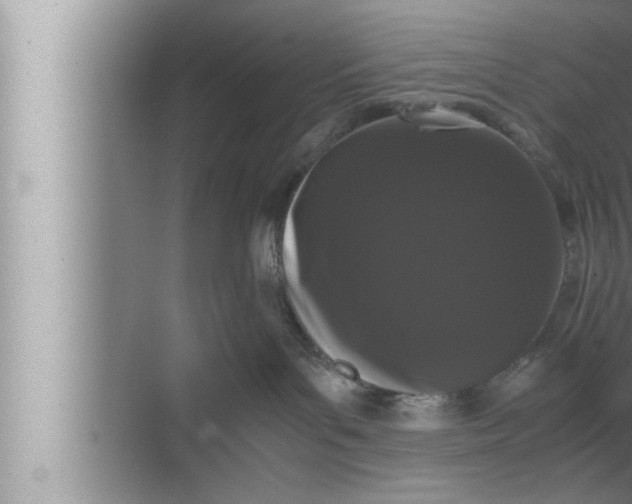 X0000072500143200607290115