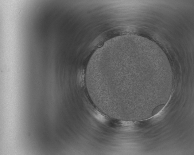 X0000072500144200607290115