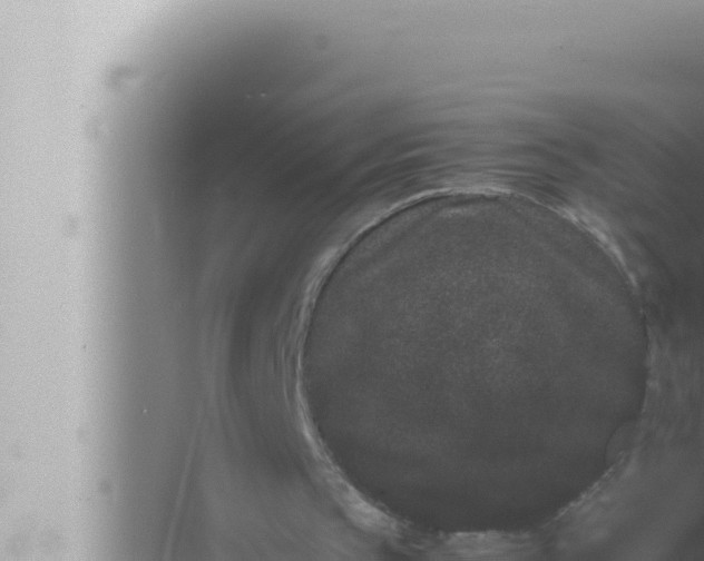 X0000072500145200607290114