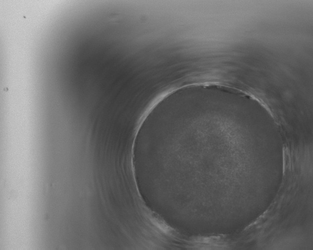 X0000072500147200607290114